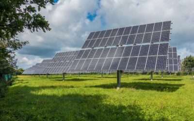 Com’è fatto un pannello solare e come funziona