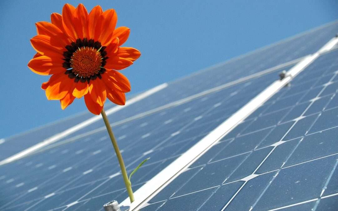 Quanto si risparmia con il fotovoltaico?
