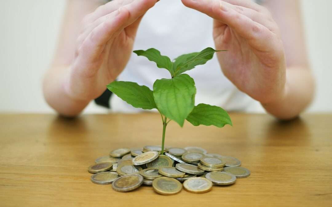 Diversificare il tuo portafoglio: aggiungi un asset verde e innovativo al tuo mix di investimenti