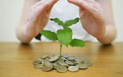 Diversificare il tuo portafoglio: aggiungi un asset verde e innovativo al tuo mix di investimenti