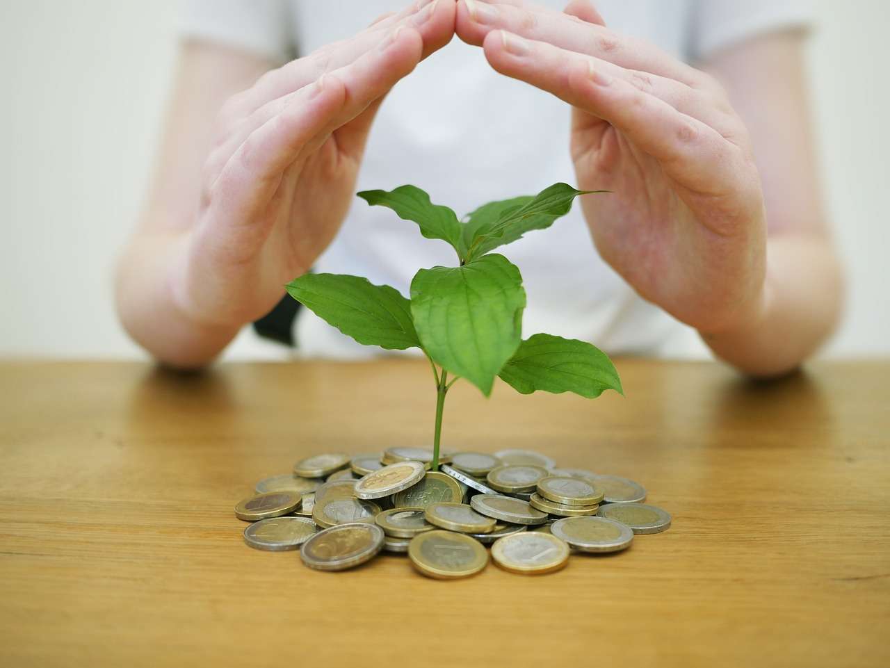 money-back-up-4518407_1280