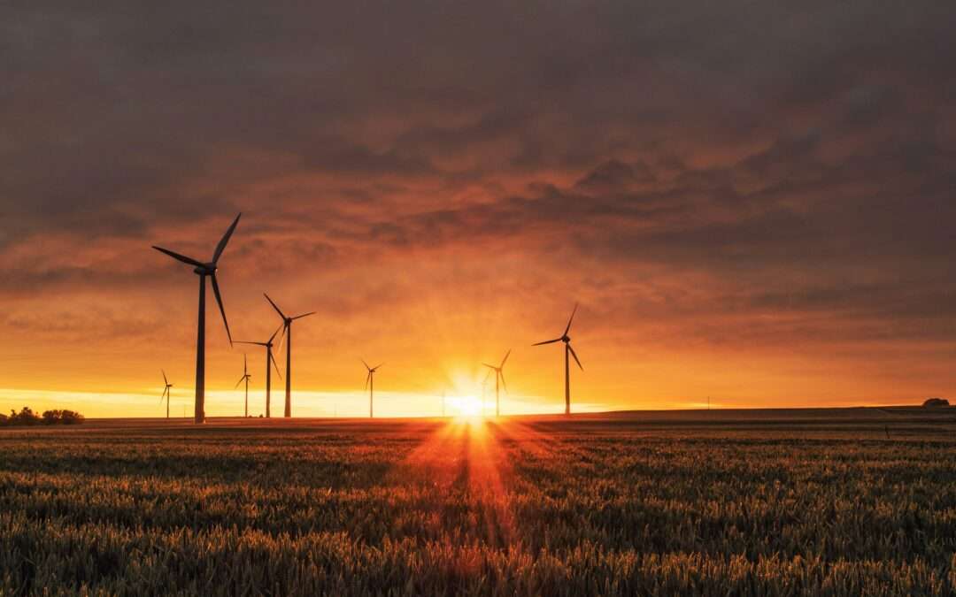 Come scegliere il giusto investimento in energia rinnovabile: una breve guida
