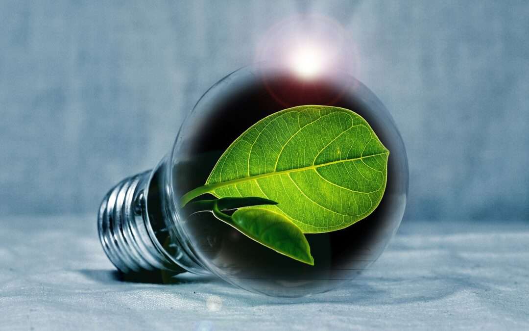 5 alternative ai pannelli solari (+1 bonus) per risparmiare in bolletta e rispettare l’ambiente