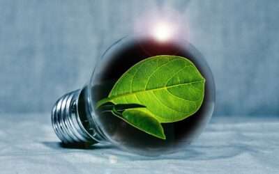 5 alternative ai pannelli solari (+1 bonus) per risparmiare in bolletta e rispettare l’ambiente